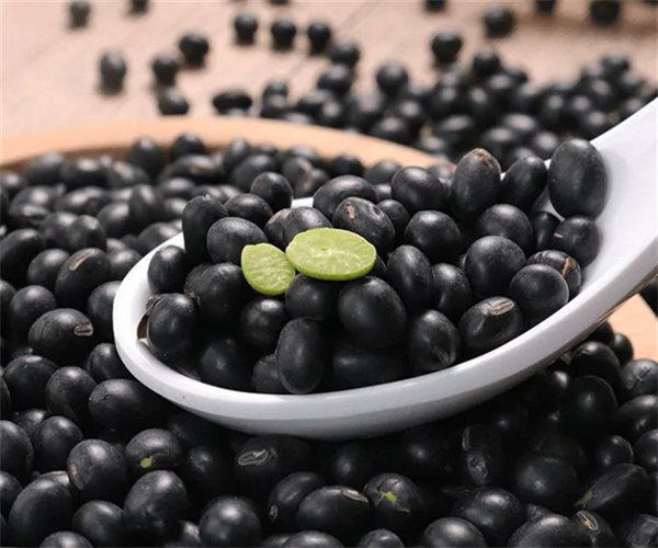 黑豆蛋白质检测 黑豆粗脂肪检测多少钱