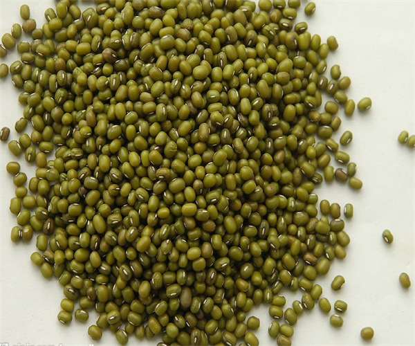 绿豆营养成分分析 绿豆蛋白质含量检测去哪里做