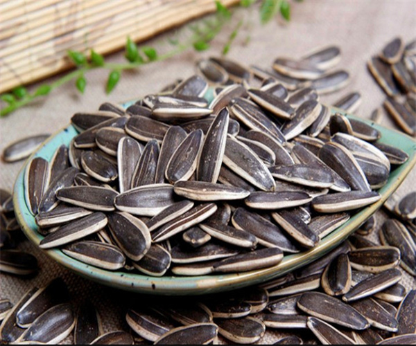 葵花籽酸价检测 葵花籽过氧化值检测去哪里做