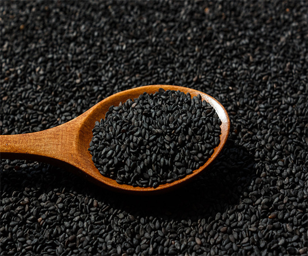 黑芝麻营养成分分析 黑芝麻脂肪含量检测去哪里做