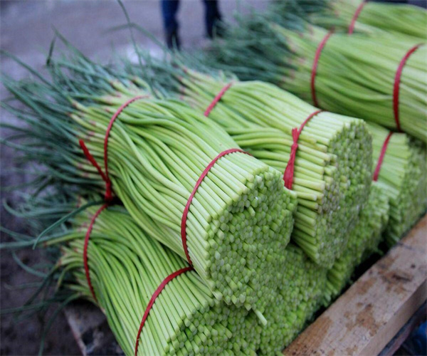 蒜苔重金属含量检测 蒜苔二氧化硫残留量检测单位