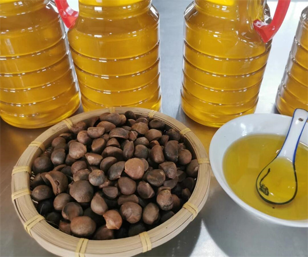 第三方山茶油碘值检测 山茶油皂化值检测中心