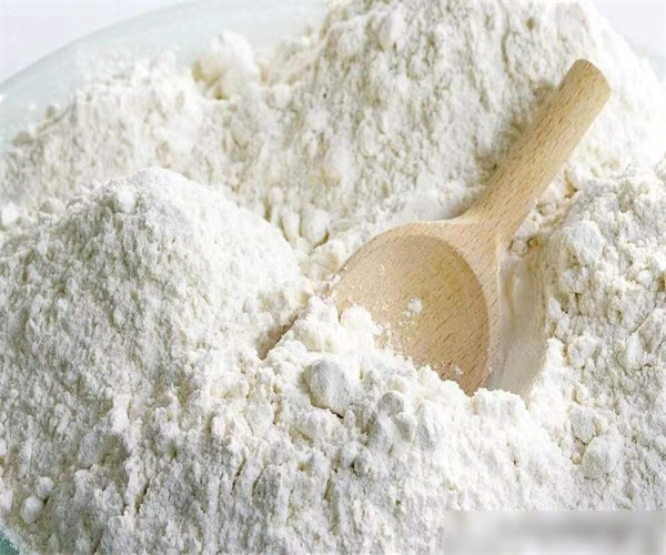 面粉蛋白质含量检测 面粉粒度分布检测哪里可以做