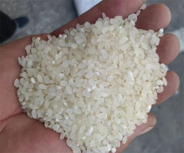 珍珠米淀粉含量检测 珍珠米营养成分分析哪里专业