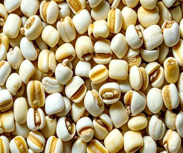 薏米灰分含量检测 薏米粗蛋白检测多少钱