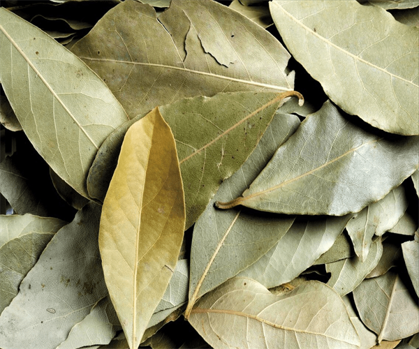 香叶重金属含量检测 香叶农药残留检测多少钱