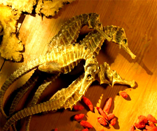 海马酒总酸检测 海马酒总酯检测去哪里做