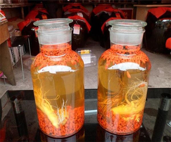 健腰补肾酒配方成分分析哪里能做