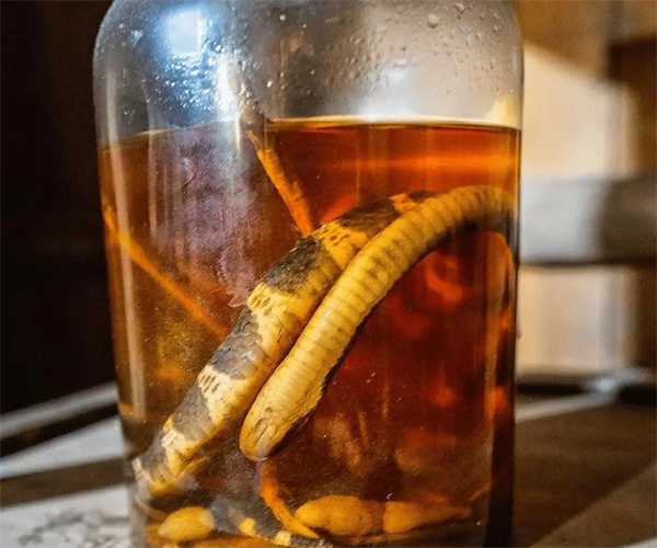 蛇酒氰化物检测 蛇酒塑化剂检测哪里能做