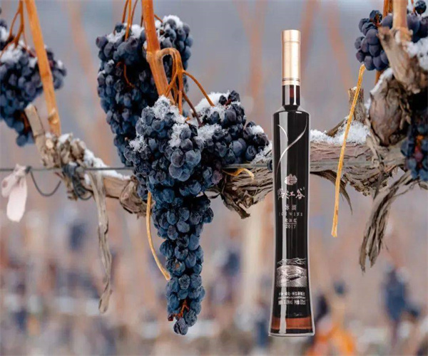 人参葡萄酒总酸检测 人参葡萄酒甲醇含量检测多少钱