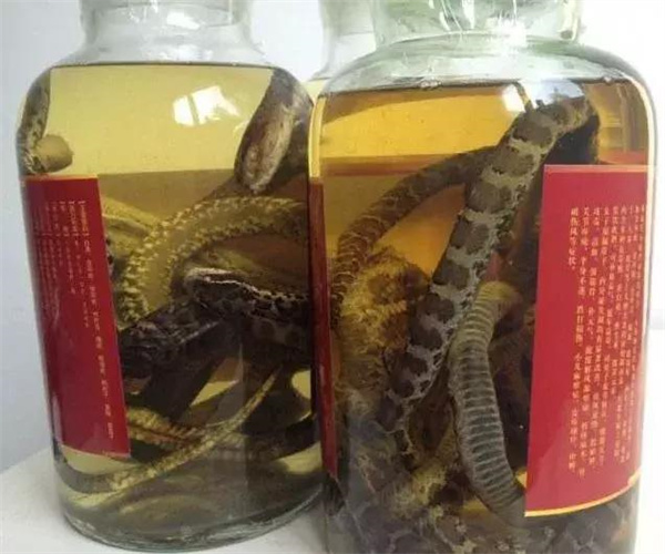 蛇胆酒氰化物检测 蛇胆酒总酸检测哪里专业