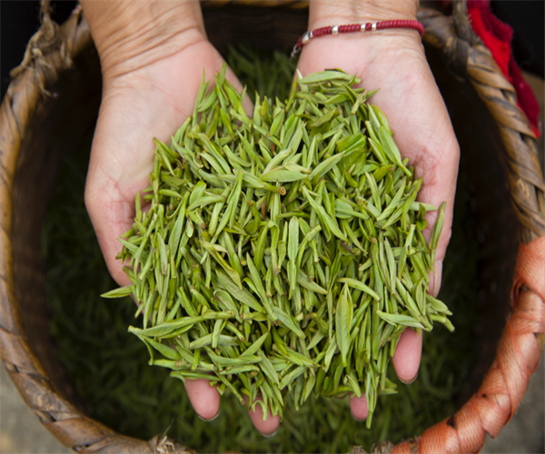 黄山毛峰总灰分检测 黄山毛峰水浸出物检测多少钱
