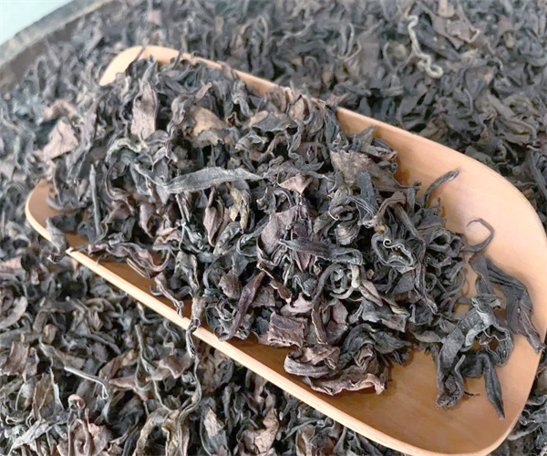 六堡茶茶多酚检测 六堡茶水浸出物检测哪里能做