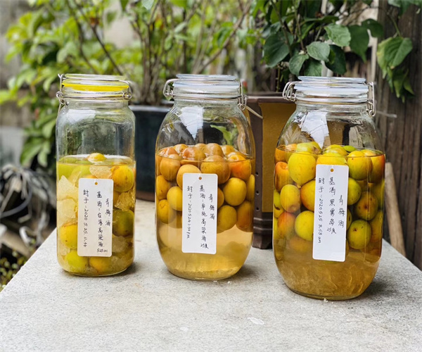 李子酒有机酸含量检测 李子酒糖酸比测试多少钱