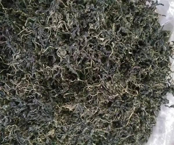 绞股蓝茶总灰分检测 绞股蓝茶水浸出物检测去哪做