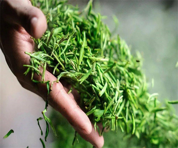 惠明茶水浸出物检测 惠明茶粗纤维检测哪里能做