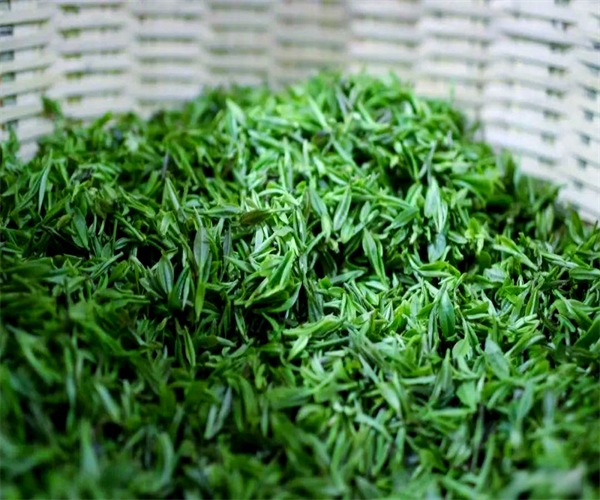 霍山黄芽茶多酚检测 霍山黄芽氨基酸检测多少钱