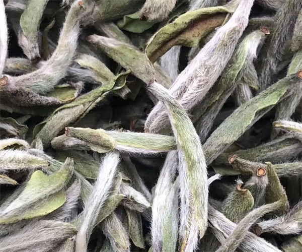 白毫银针茶多酚检测 白毫银针游离氨基酸检测哪里便宜