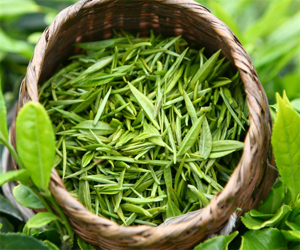 白马毛尖微生物检测 白马毛尖感官指标检验多少钱