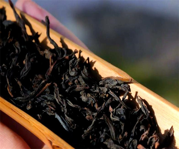 铁罗汉茶活性成分分析 铁罗汉茶茶多酚检测去哪做