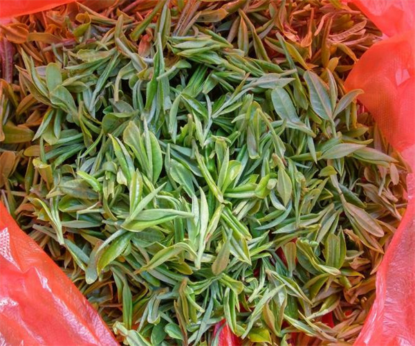 鹿苑毛尖微生物检测 鹿苑毛尖感官检验多少钱