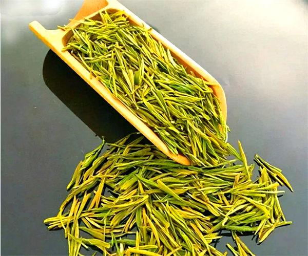 黄金芽农药残留检测 黄金芽重金属检测去哪做