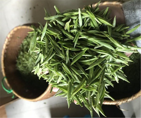 白眉茶水浸出物检测 白眉茶粗纤维检测多少钱