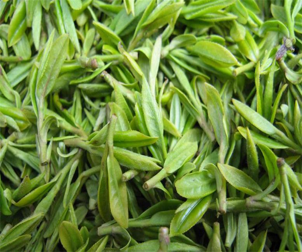 黄竹白毫水浸出物检测 黄竹白毫总灰分检测去哪做