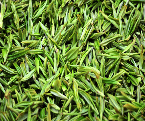 金山翠芽水浸出物检测 金山翠芽茶多酚检测去哪做