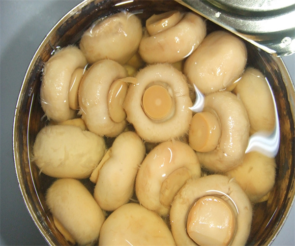 食用菌罐头添加剂检测 食用菌罐头防腐剂检测哪里可靠