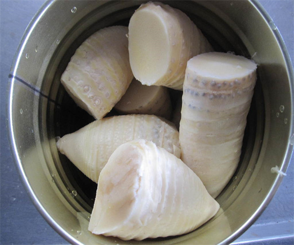 竹笋罐头PH值检测 竹笋罐头氯化钠检测多少钱