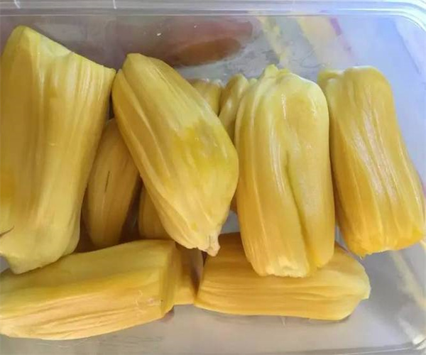 菠萝蜜罐头糖度检测 菠萝蜜罐头酸度检测去哪做