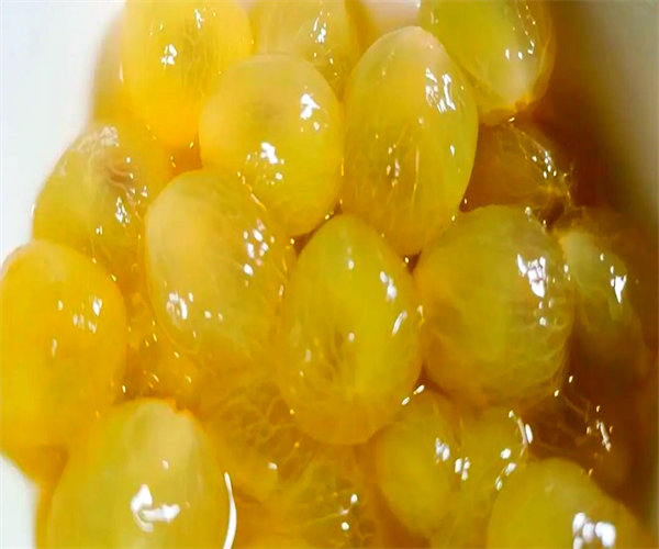 葡萄罐头糖度检测 葡萄罐头酸度检验哪里可以做