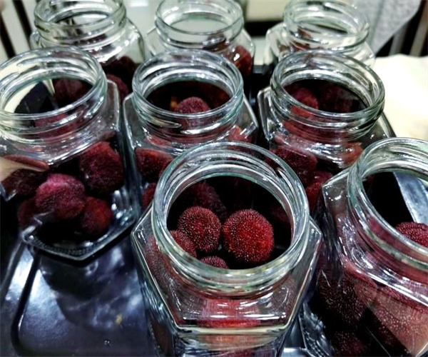 杨梅罐头水分检测 杨梅罐头糖分检测去哪里做