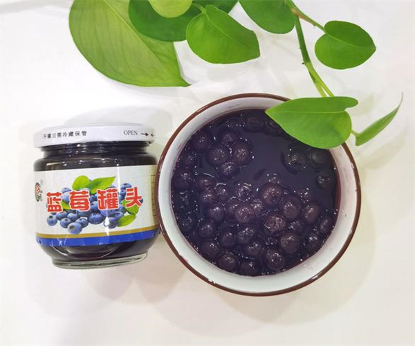 蓝莓罐头添加剂检测 蓝莓罐头防腐剂检测多少钱