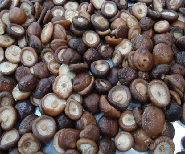 香菇罐头重金属检测 香菇罐头添加剂检测部门