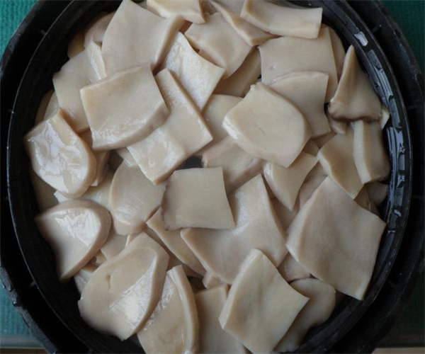 杏鲍菇罐头重金属检测 杏鲍菇罐头氯化钠含量检测单位