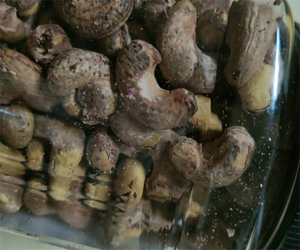 腰果罐头真菌毒素检测 腰果罐头添加剂检测部门