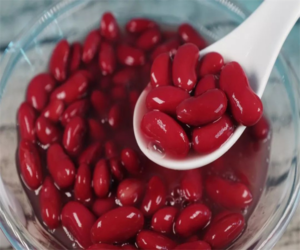 红腰豆罐头添加剂检测 红腰豆罐头防腐剂检测机构