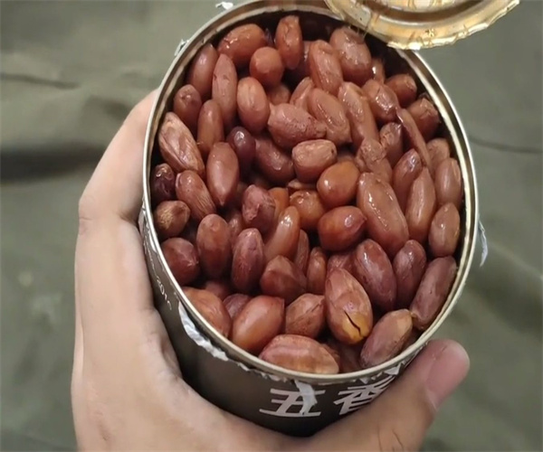 花生罐头黄曲霉毒素检测 花生罐头添加剂检测单位