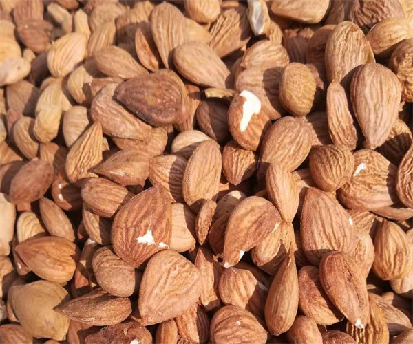 杏仁罐头真菌毒素检测 杏仁罐头添加剂检测机构