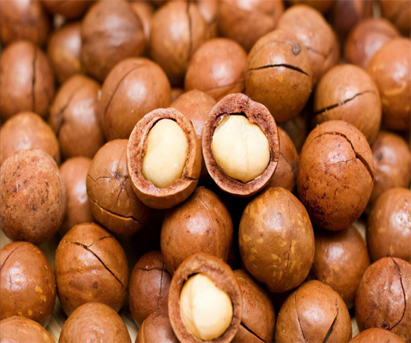 夏威夷果罐头过氧化值检测 黄曲霉毒素检测部门