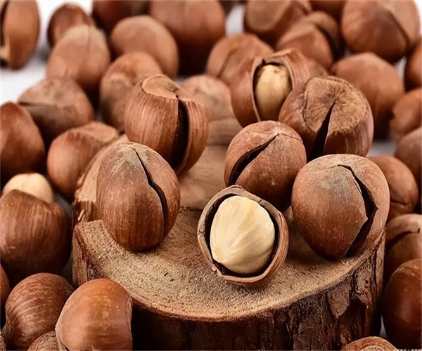 榛子罐头过氧化值检测 榛子罐头黄曲霉毒素检测机构